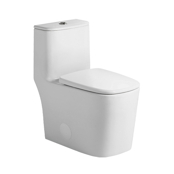 One piece Toilet - BNK - BNK BATH & KITCHEN INC