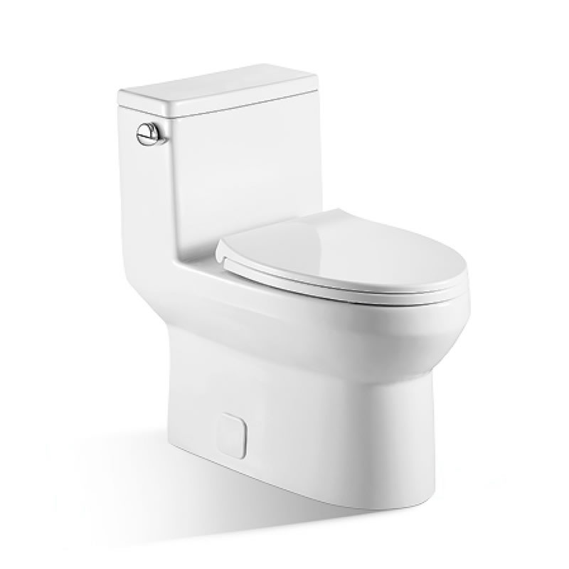 One piece Toilet - BNK - BNK BATH & KITCHEN INC